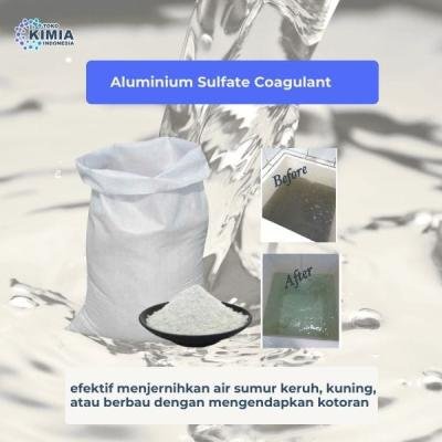 Aluminium Sulfate Coagulant Kota Medan 25KG